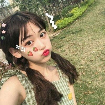 羊崽